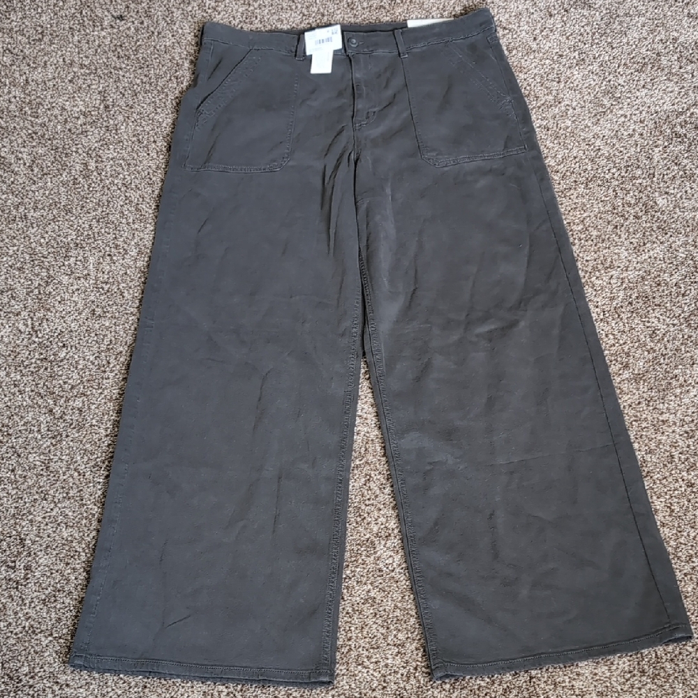 Super High Rise Baggy Wide Leg Pants American Eagle Size 16 NEW